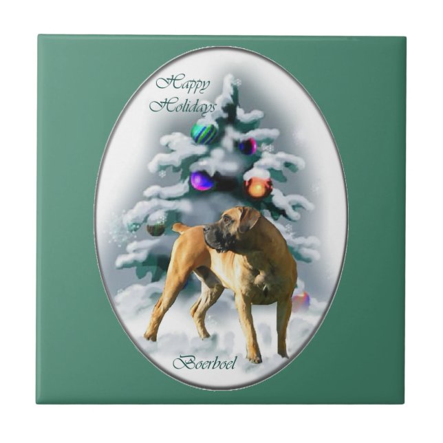 Boerboel Natal (Frente)