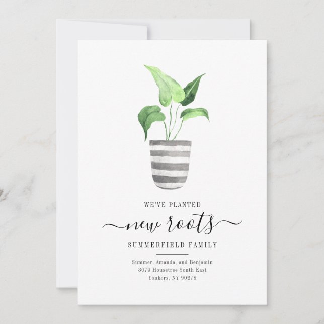 Boho Chic Novas Raízes Movimentamos o Movimento Bo (Frente)