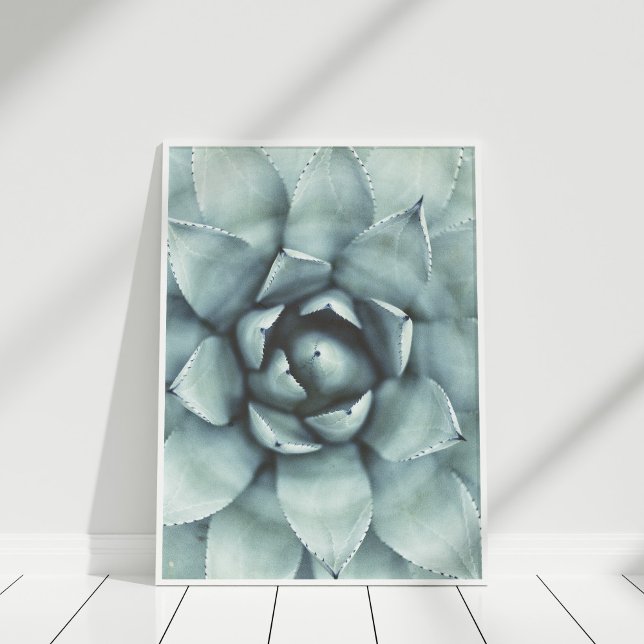 Boho Sage Green Closeup Poster (Pastel Green Succulent Closeup Poster in white frame on white wooden floor.)