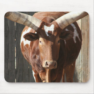 Boi de Ankole-Watusi com chifres enormes Mousepad