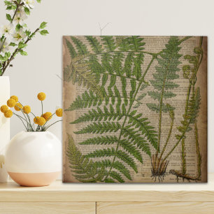 boi-impressão francês foliage