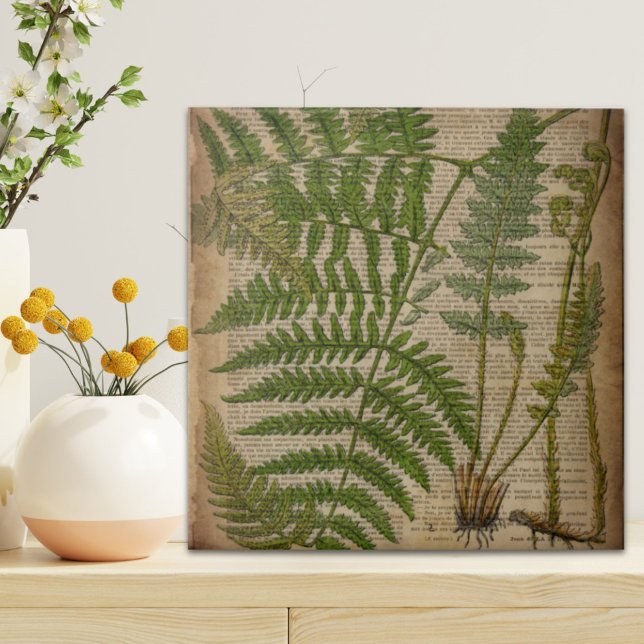 boi-impressão francês foliage (woodland foliage french botanical print fern tile)