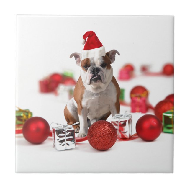 Boias de Natal para Bulldog Ornamentos de Caixa Ve (Frente)