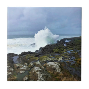 Boiler Bay State Wayside, Depoe Bay, Oregon