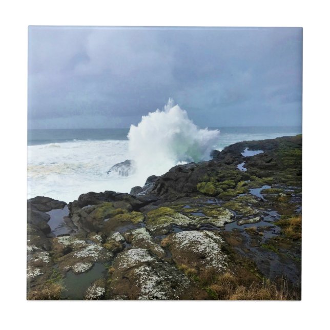 Boiler Bay State Wayside, Depoe Bay, Oregon (Frente)
