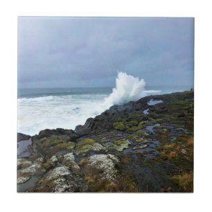 Boiler Bay State Wayside, Depoe Bay, Oregon