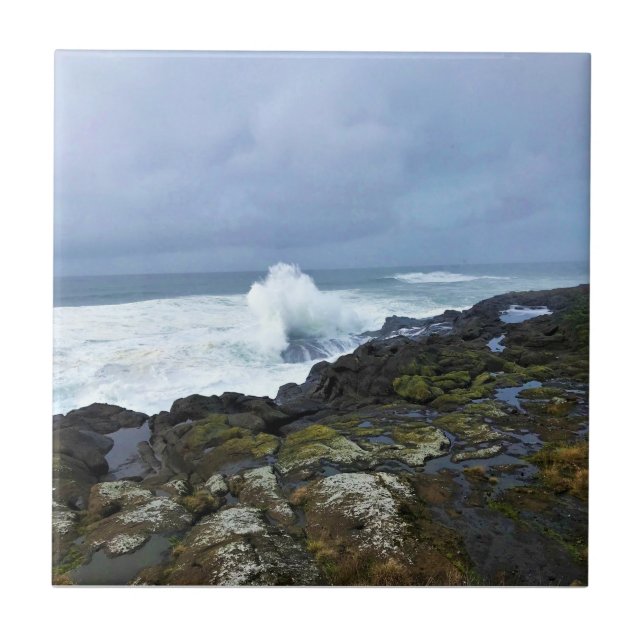 Boiler Bay State Wayside, Depoe Bay, Oregon (Frente)
