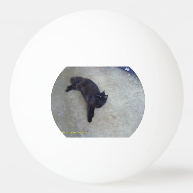 bola blinky do pong do sibilo (Verso)