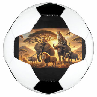 Bola de futebol
