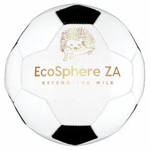 Bola de futebol