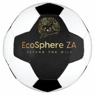 Bola de futebol