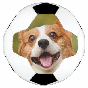Bola De Futebol Adicionar Foto de Cachorro Personalizada Customiza