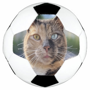 Bola De Futebol Adicionar Personalização de Foto de Cat