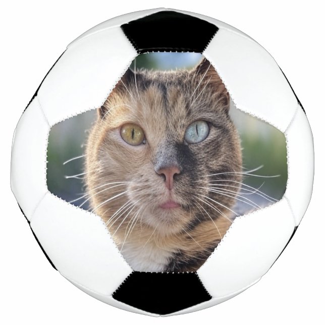 Bola De Futebol Adicionar Personalização de Foto de Cat (Frente)