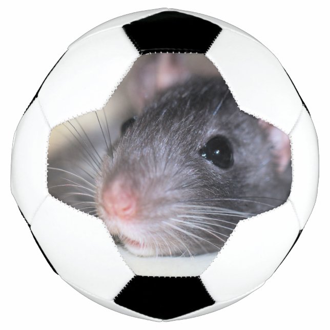 Bola De Futebol Adorável (Frente)