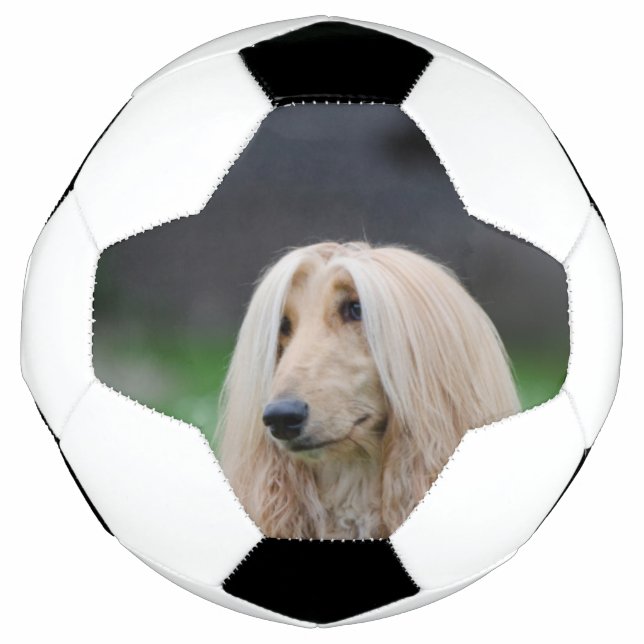 Bola De Futebol afegão-deitado (Frente)