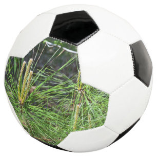 Bola De Futebol Agulhas de pinheiro por Kenneth Yoncich