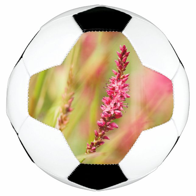 Bola De Futebol arbusto de cor (Frente)