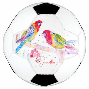 Bola De Futebol Arte papagaio Mola Aquarela Pintura Vermelha Cor A