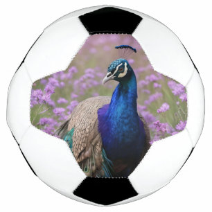 Bola De Futebol Azul Real: Pavão Azul Em Campo De Lavanda,