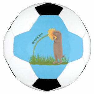 Bola De Futebol BD de cãozinho da pradaria