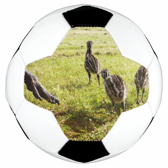 Bola De Futebol Bebê Pintinhos Emu E Pé Grande, (Frente)