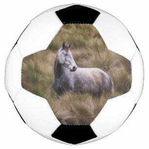 Bola De Futebol Belo Cavalo Colorido de Cinzas