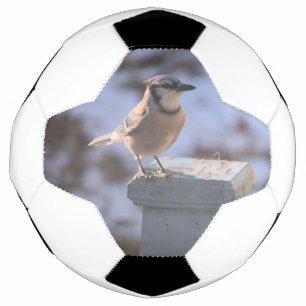Bola De Futebol Blue Jay