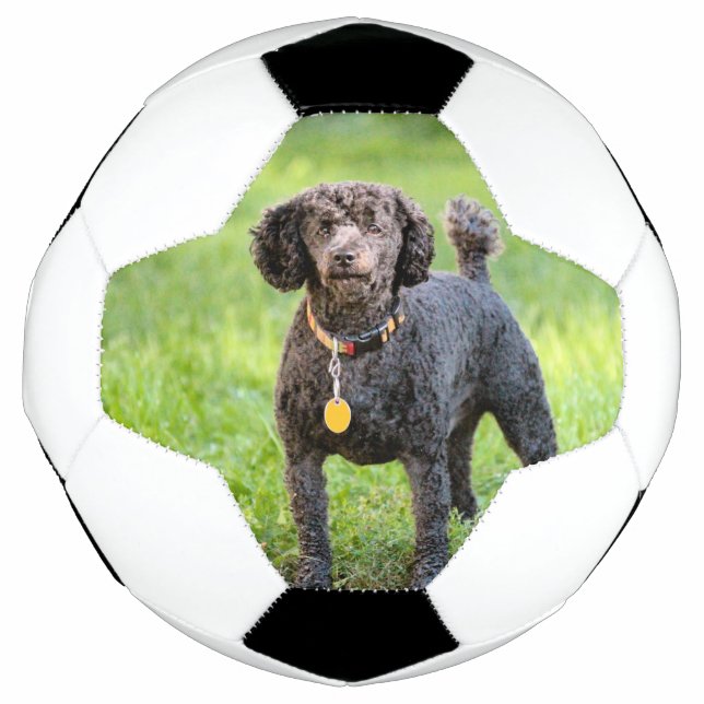 Bola De Futebol Bonjour (Frente)