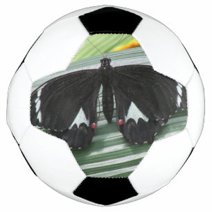 Bola De Futebol Borboleta tropical branca e preta