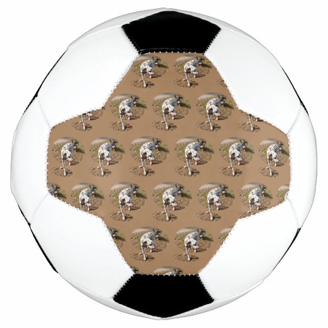 Bola De Futebol Brown Spotty Dalmatic, (Frente)