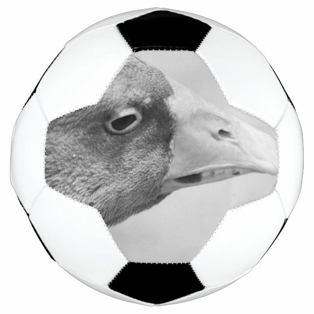 Bola De Futebol BW Goose (Frente)