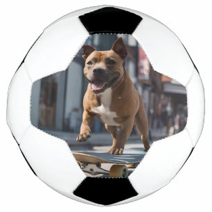 Bola De Futebol Caça de skate: Um Staffy em Movimento