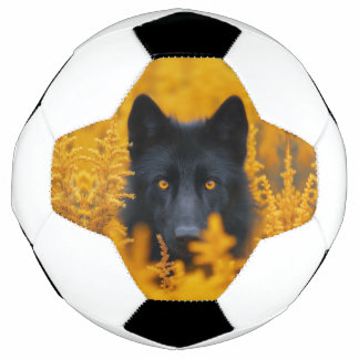 Bola De Futebol Cachorro Negro com Olhos Ouro Incríveis