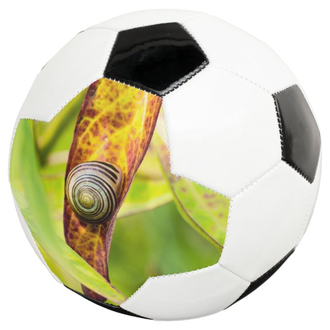 Bola De Futebol calma (Três quartos)