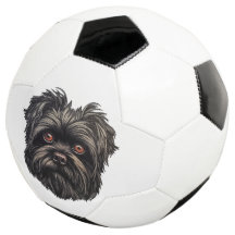 Cão Negro Affenpinscher