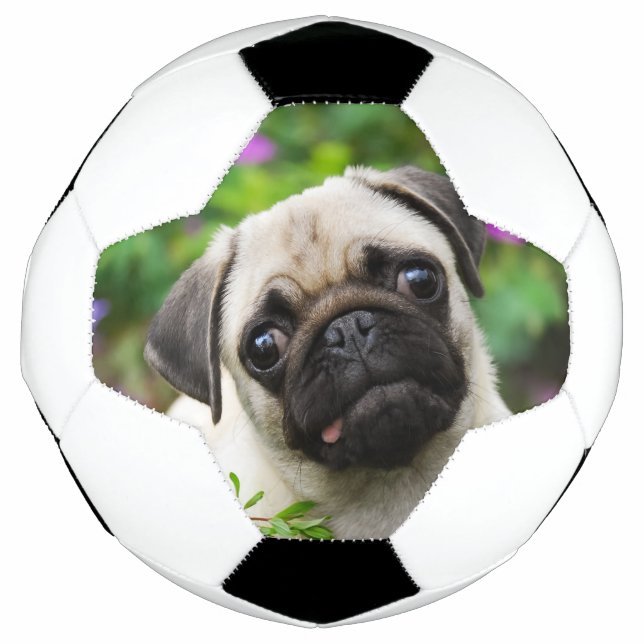 Bola De Futebol Cãozinho de pelúcia (Frente)