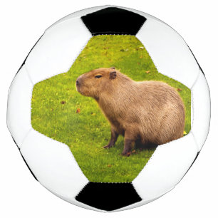 Bola De Futebol Capivara