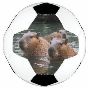 Bola De Futebol Capybaras Nadando No Rio,