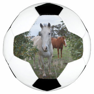 Bola De Futebol Cavalos de Peekaboo, Soccerball
