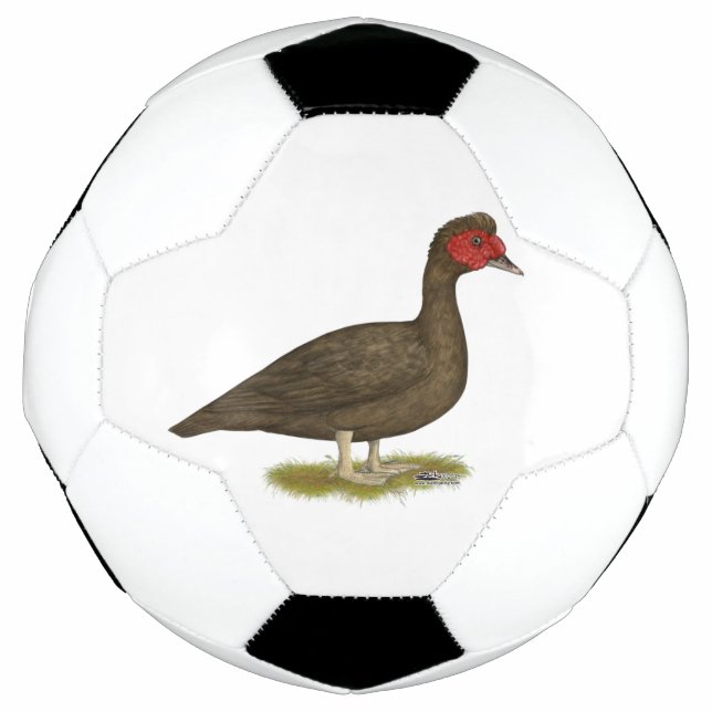 Bola De Futebol Chocolate Muscovy Drake (Frente)