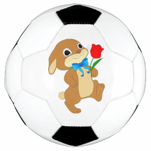 BOLA DE FUTEBOL COELHO AO AMOR