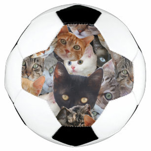 Bola De Futebol Colagem do gatinho