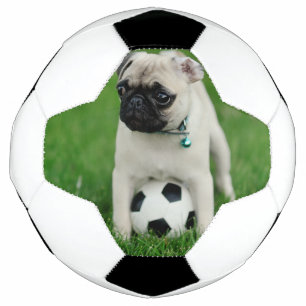 Bola De Futebol Crie Sua Própria Foto Personalizada de Animal de E