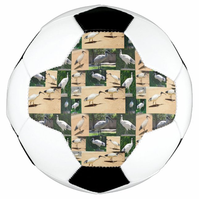 Bola De Futebol Crônicas de frango caixa: Colagem Fotográfica Dos  (Frente)