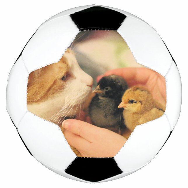 Bola De Futebol Cuecas (Frente)