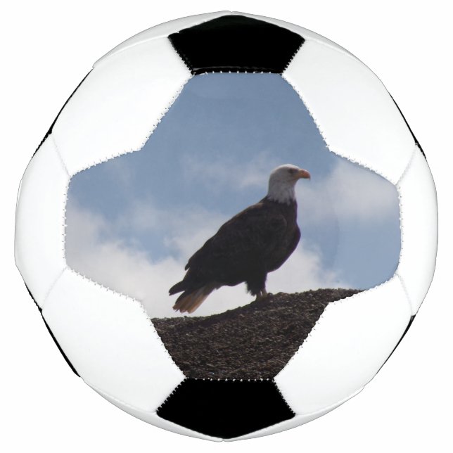 Bola de futebol da águia-baleeira (Frente)