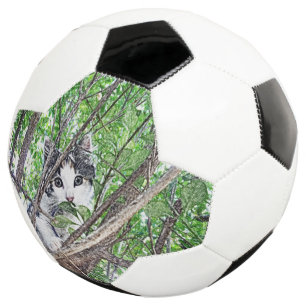 Bola De Futebol Desenho Do Lápis De Kitten,