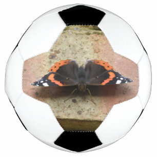 Bola de Futebol do Almirante Vermelho
