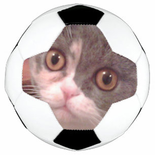 Bola De Futebol Dobrado Escocês